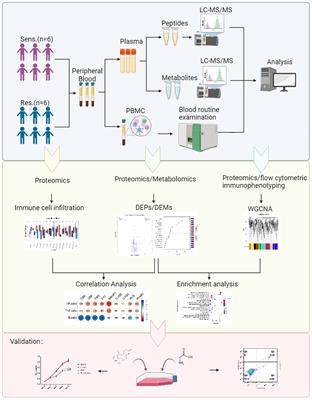 Multi-omics investigation of the resistance mechanisms of pomalidomide in multiple myeloma